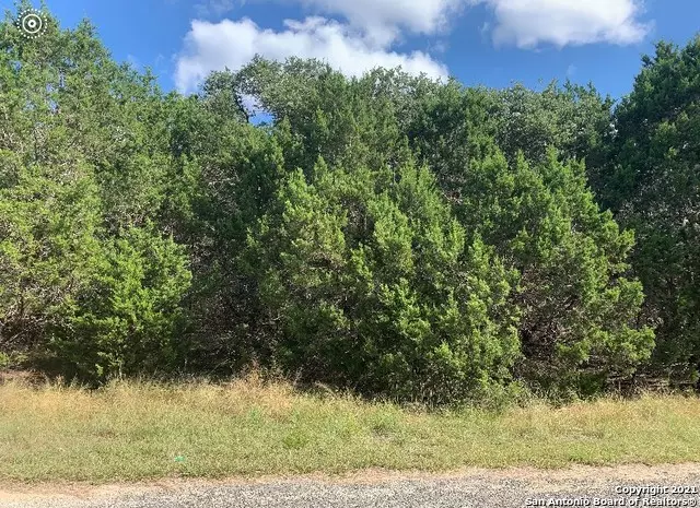 244 Summerset Trail, Fischer, TX 78623