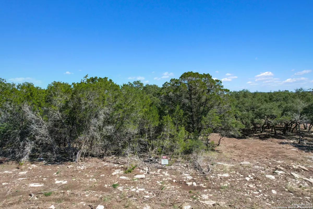 Bulverde, TX 78163,34724 Ansley Ridge Trl