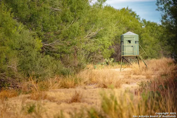 Asherton, TX 78827,000 Fm 1557