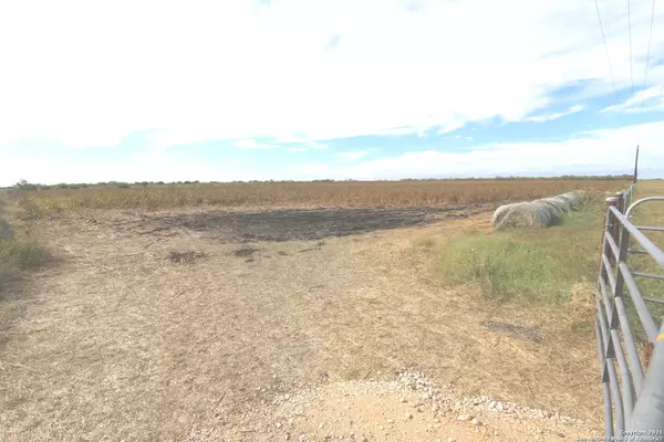 Falls City, TX 78113,35-ACRES CR 257