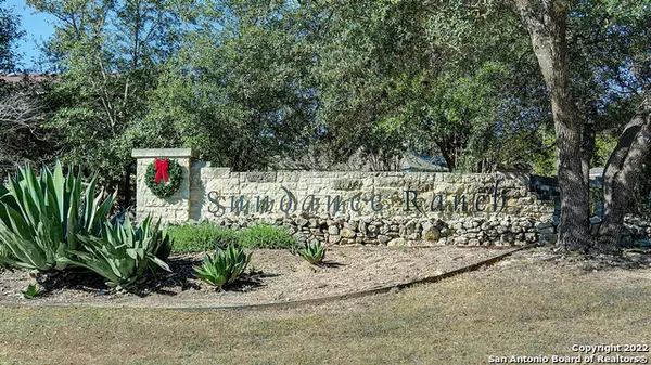 Boerne, TX 78006,25114 Buffalo Clover