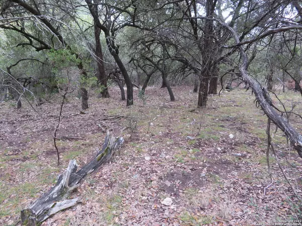 Lakehills, TX 78063,LOT 304-306 Deer Trail