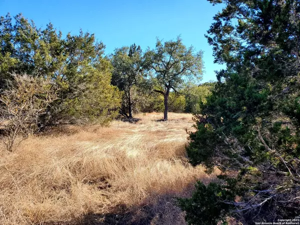 Pipe Creek, TX 78063,6449 FM 1283