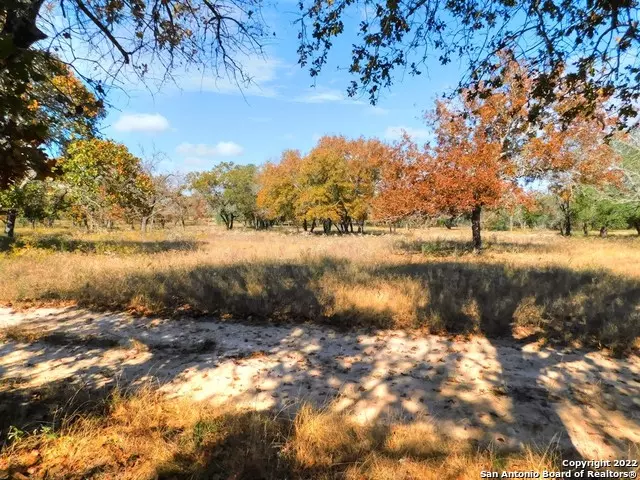 Natalia, TX 78059,TRACT 15 County Road 781