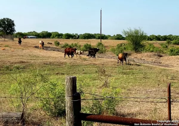 San Antonio, TX 78263,13220 E Loop 1604 S
