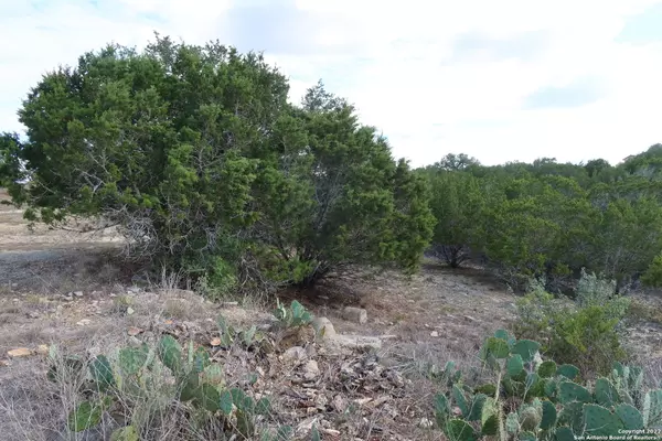 Bandera, TX 78003,TBD Little Sorrel Way