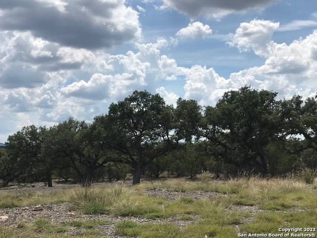 Pipe Creek, TX 78063,PARCEL 17 Rio Lantana
