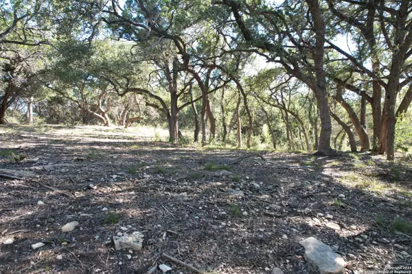 34749 Carries Creek, Bulverde, TX 78163