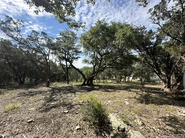 Bulverde, TX 78163,34749 Carries Creek