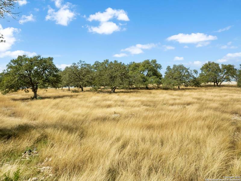 LOT 103 Cattlemans Crossing Drive, Kerrville, TX 78028