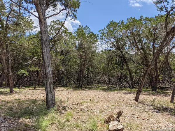 Bandera, TX 78003,LOT 52 CLEARWATER CANYON RD