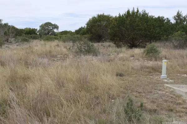 246 Puzzle Pass, Spring Branch, TX 78070