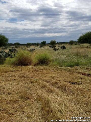 Dilley, TX 78017,0 HWY-85