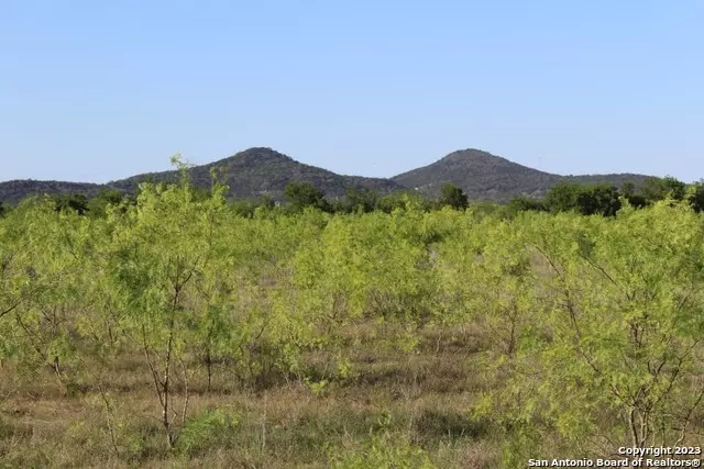 150 River View Drive, Utopia, TX 78884