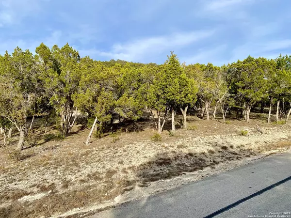 Mico, TX 78056,LOT 149 PR 1738