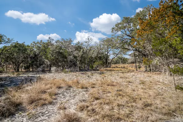 Bulverde, TX 78163,1084 Earle Oak Ave