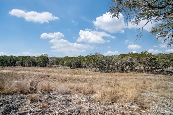 Bulverde, TX 78163,1084 Earle Oak Ave