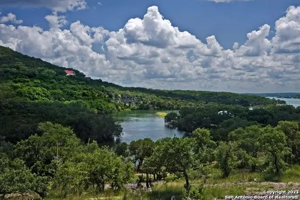 Mico, TX 78056,LOT 10 PR 1708