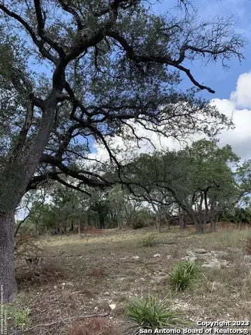 Canyon Lake, TX 78133,1916 Split Mtn