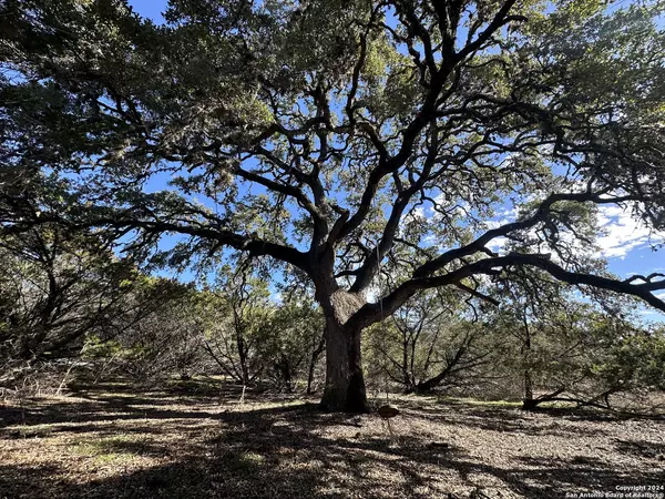 Pipe Creek, TX 78063,LOT 20 VAQUERO