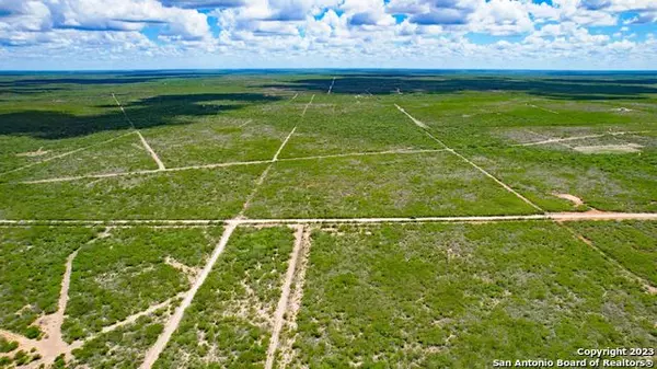 Benavides, TX 78341,1 339