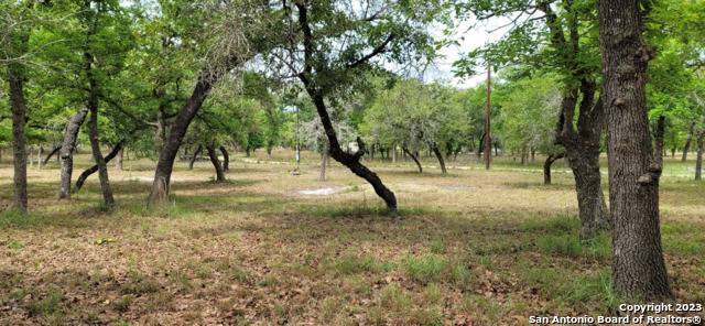 Seguin, TX 78155,136 Deep Woods Dr