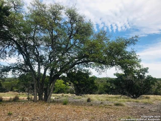 PARCEL 12 Rio Lantana, Pipe Creek, TX 78063