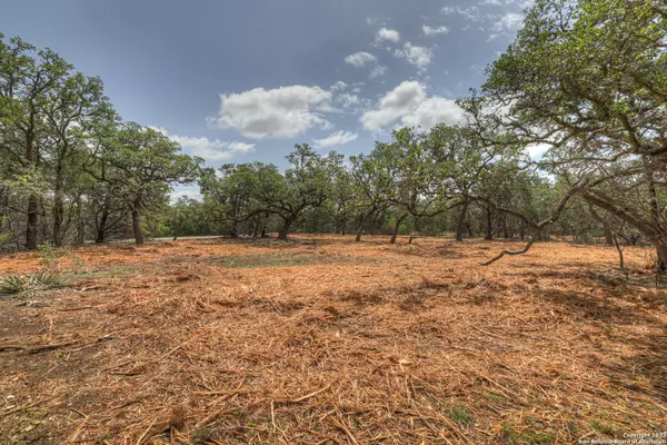 Fischer, TX 78623,1154 MADRONE RD