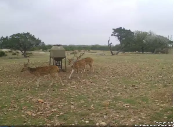 Leakey, TX 78873,0 Fair Ranch Rd.