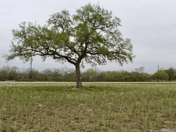 Bigfoot, TX 78005,00 ST HWY 173