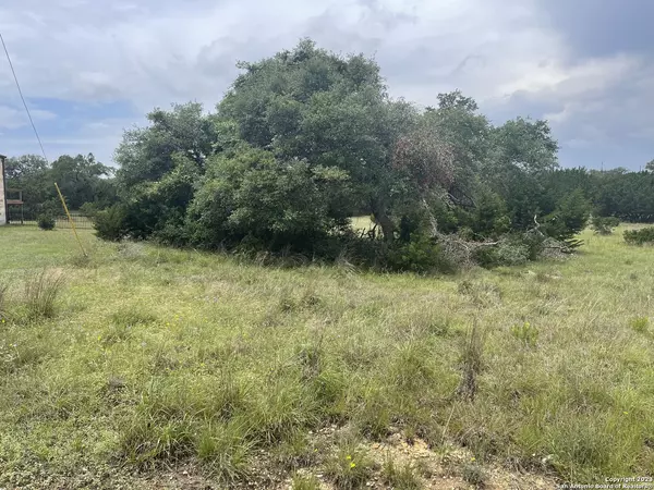 Blanco, TX 78606,114 George Dolson