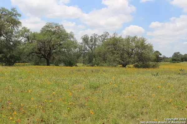 Somerset, TX 78069,TBD Hartung Lane