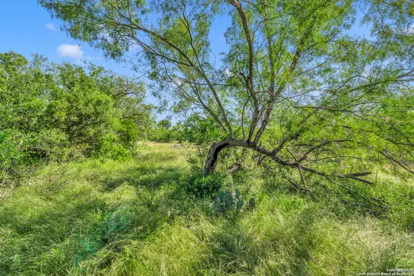 Natalia, TX 78059,14 ACRE County Road 5715