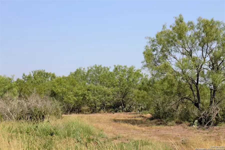 2424 CR 310 Lot 1, Jourdanton, TX 78026
