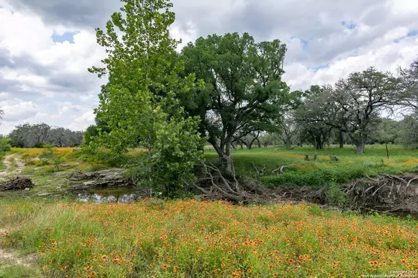 Hye, TX 78635,354 Harvey Ln