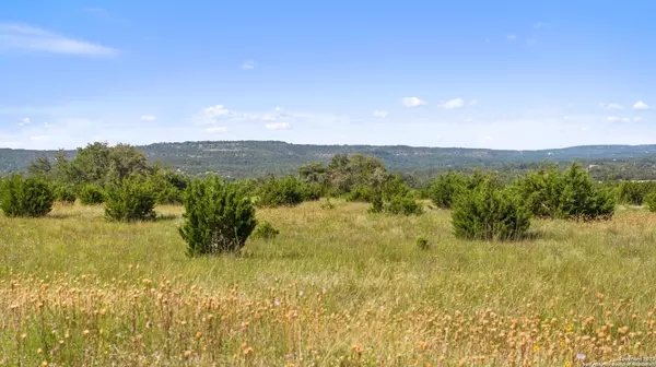 Dripping Springs, TX 78620,TRACT 1 W U.S Highway 290