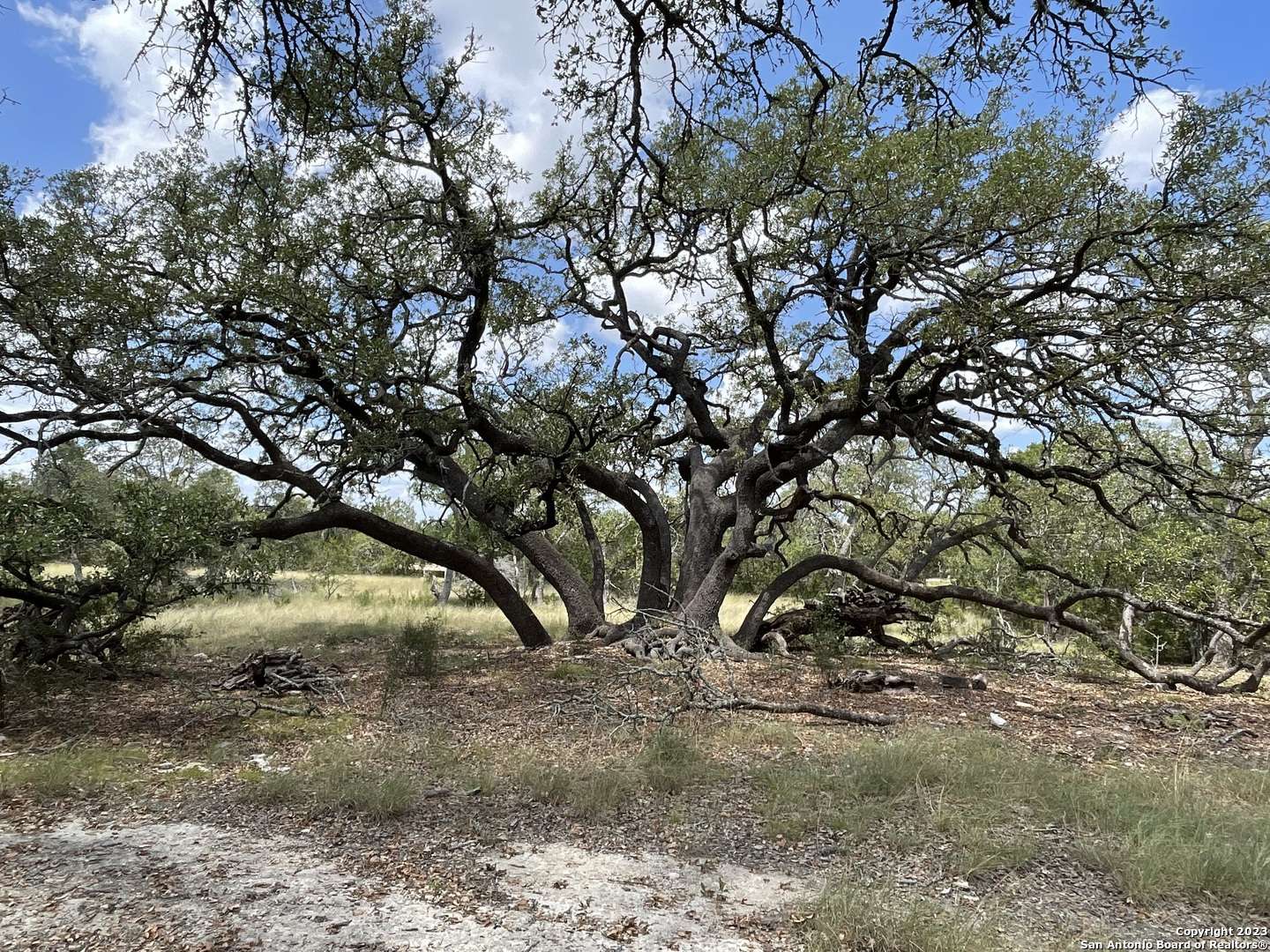 Bulverde, TX 78163,34810 Last Stage Way