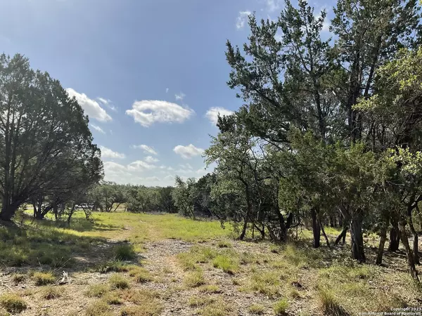 Bulverde, TX 78163,1052 Adyson Ridge Dr