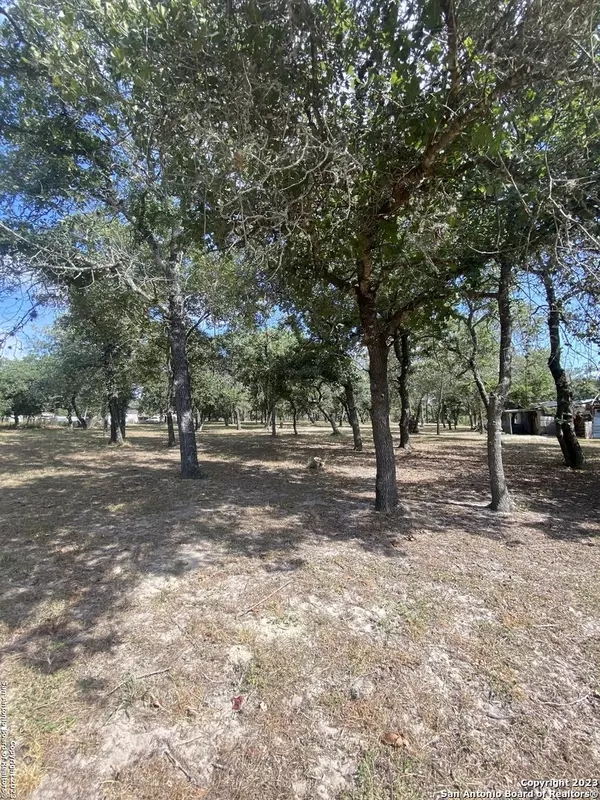 La Vernia, TX 78121,341 Lost Trail Cir