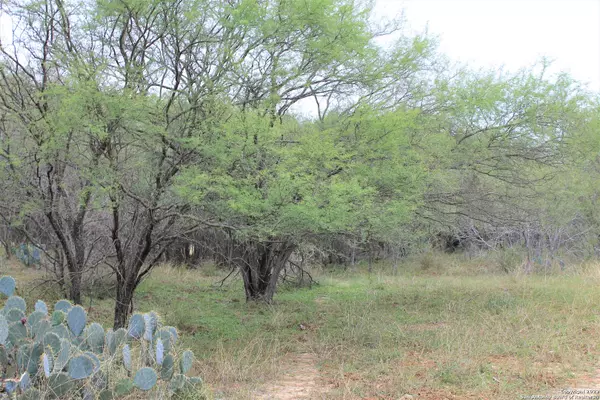 Mccoy, TX 78113,2391 CR 414