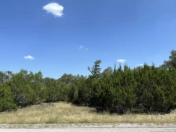 Blanco, TX 78606,488 Viento Cove