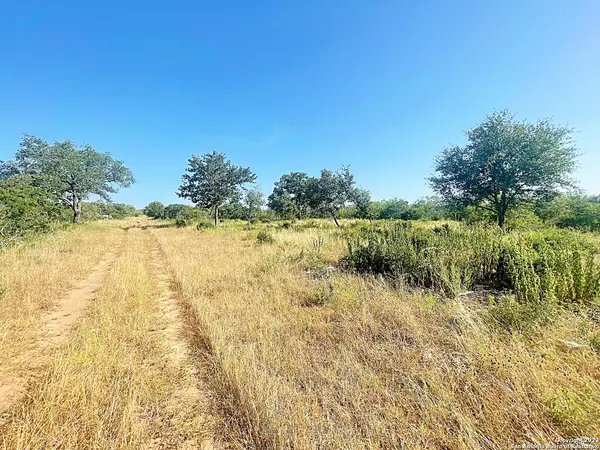 Pleasanton, TX 78064,0000 Highway 281 S