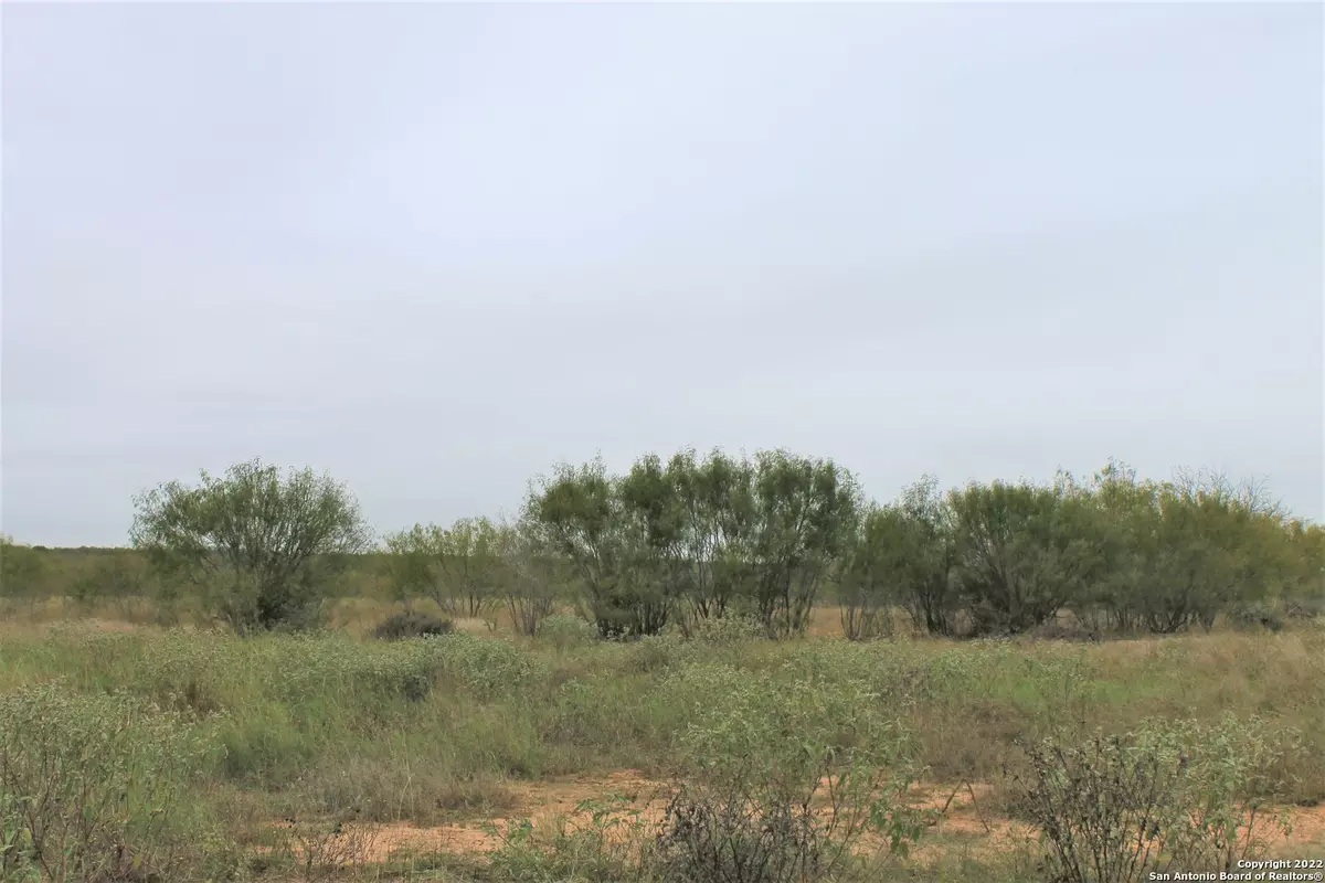 Devine, TX 78016,1097 Cr 652 Lot #8