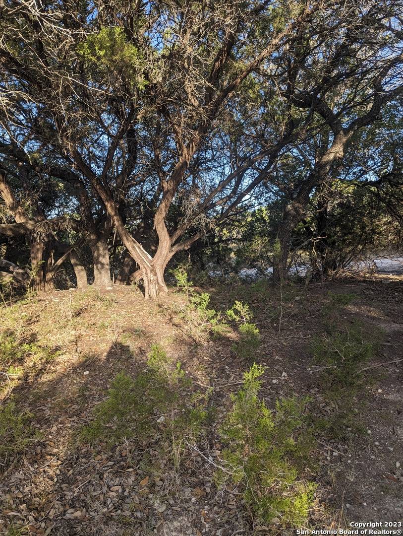 Bandera, TX 78003,LOT 469 Topside Trl
