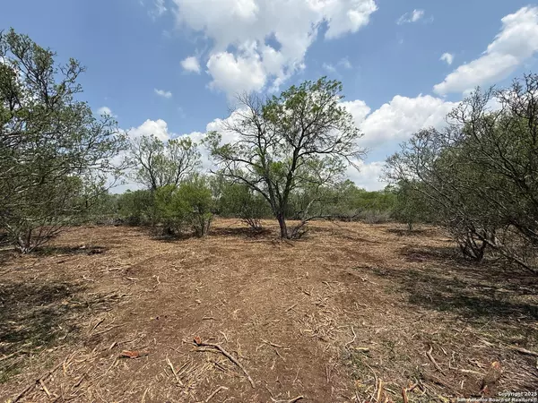 Moore, TX 78057,215 county road 1670