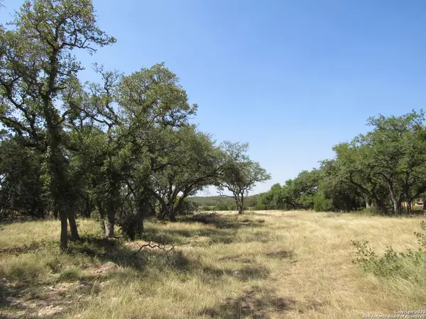 Bulverde, TX 78163-2549,34736 CASITA CREEK LN