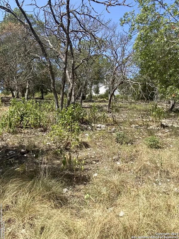 Kerrville, TX 78028,LOTS 1-8 Stoneledge Dr