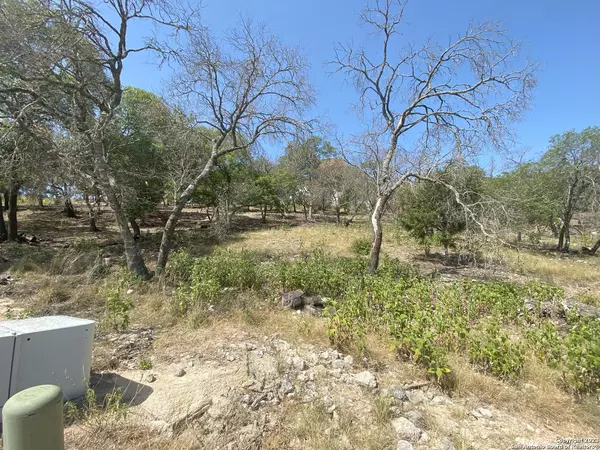 Kerrville, TX 78028,LOTS 1-8 Stoneledge Dr