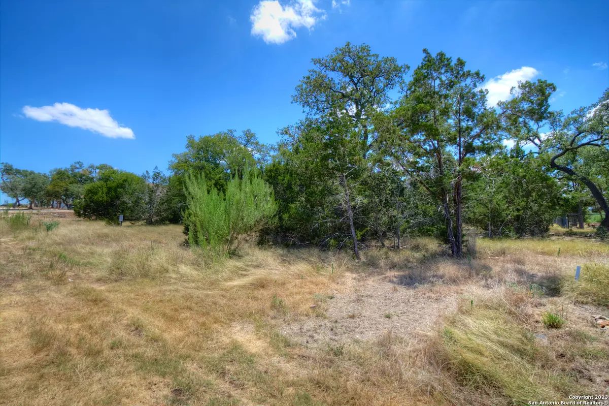 New Braunfels, TX 78132,355 CURVATURA