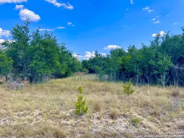 Blanco, TX 78606,140 N CALVIN BARRETT